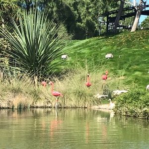 Meet your Posher, Meghan